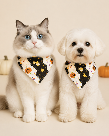 Spooky Sweetheart Collar