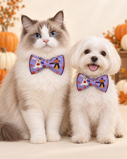 Spooky Sweetheart Collar