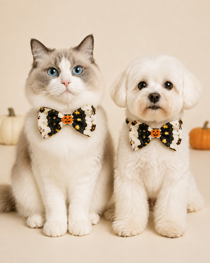 Spooky Sweetheart Collar