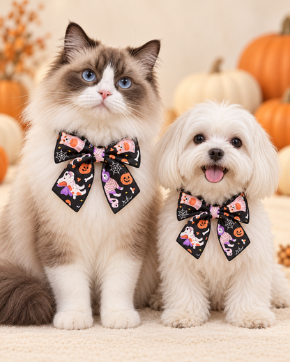 Spooky Sweetheart Collar