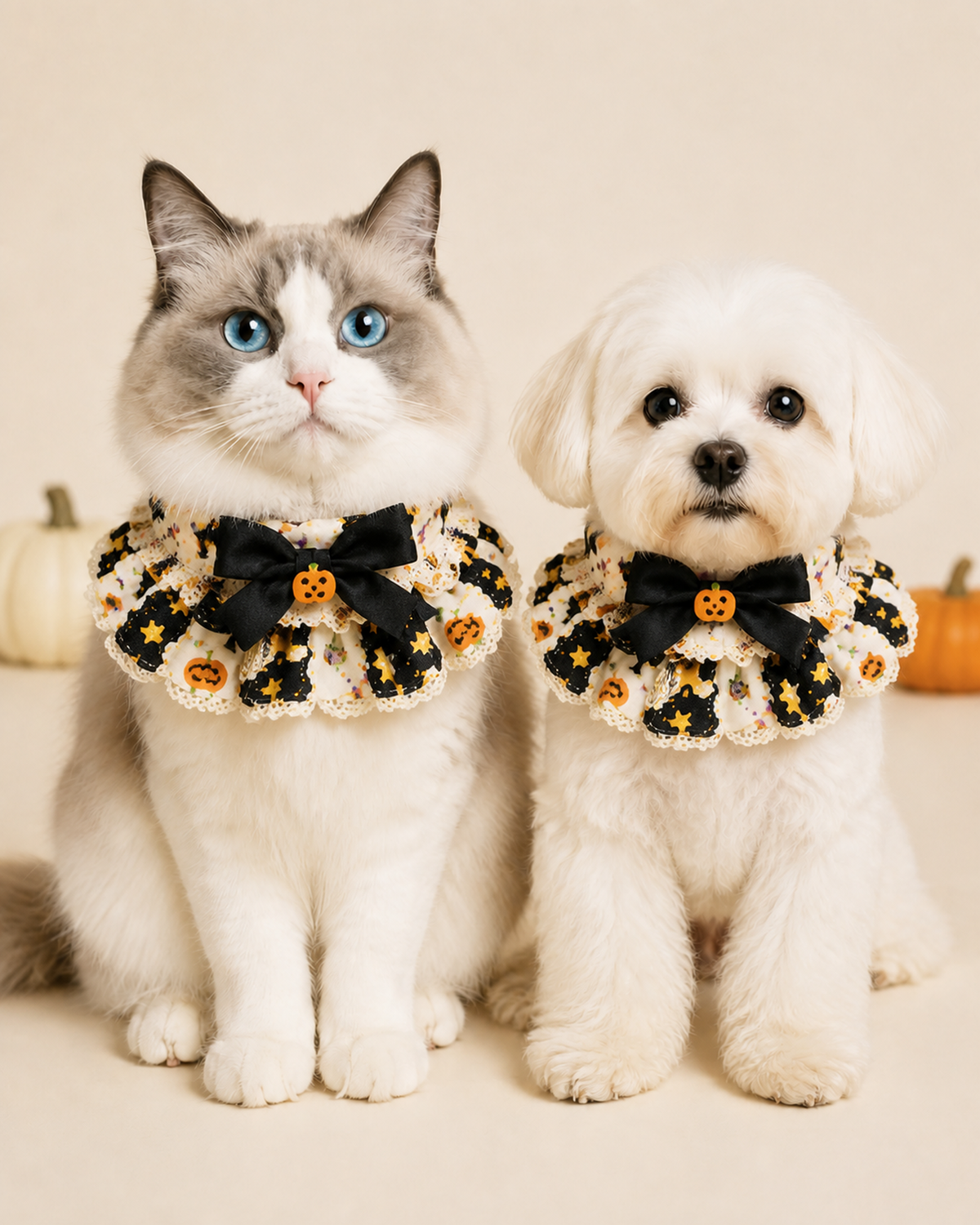 Spooky Sweetheart Collar