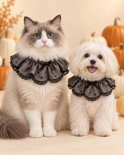 Spooky Sweetheart Collar