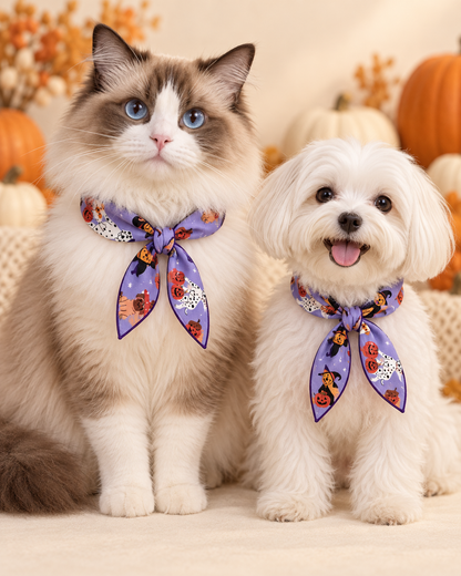 Spooky Sweetheart Collar
