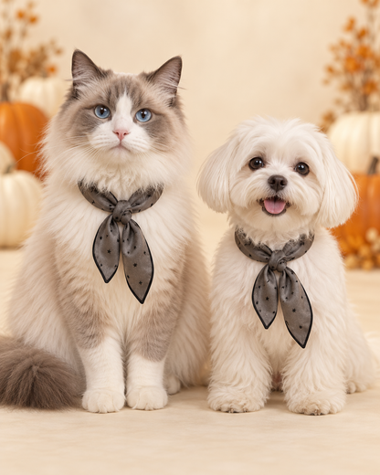 Spooky Sweetheart Collar