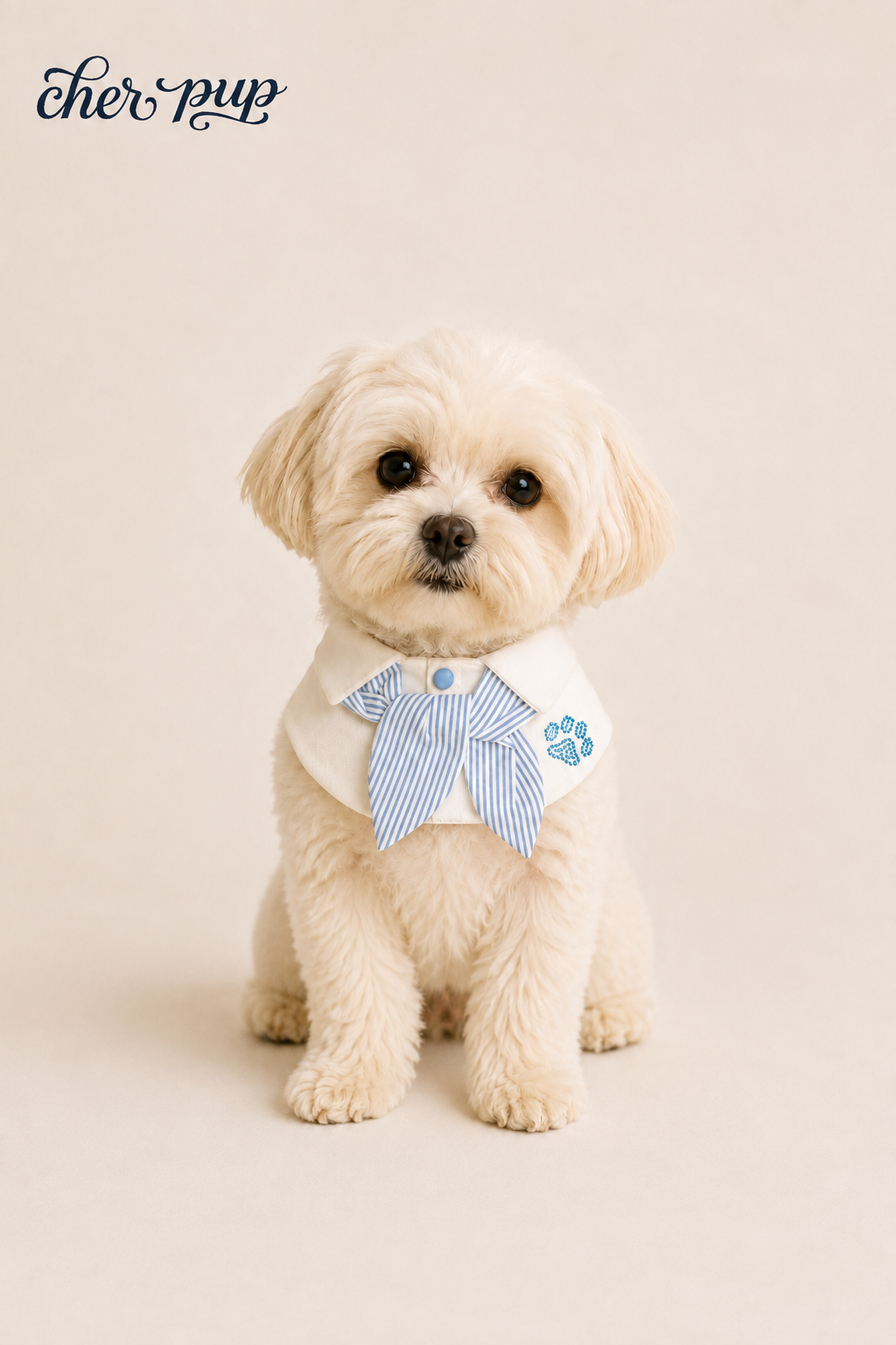 Campus Crush Collar Set