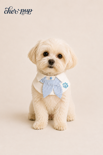 Campus Crush Collar Set