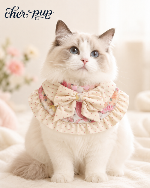The Kitty Amour Collar on Corgi dog