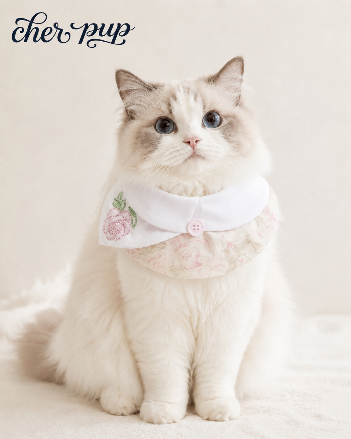 Charlotte Rose Collar on cat - front view