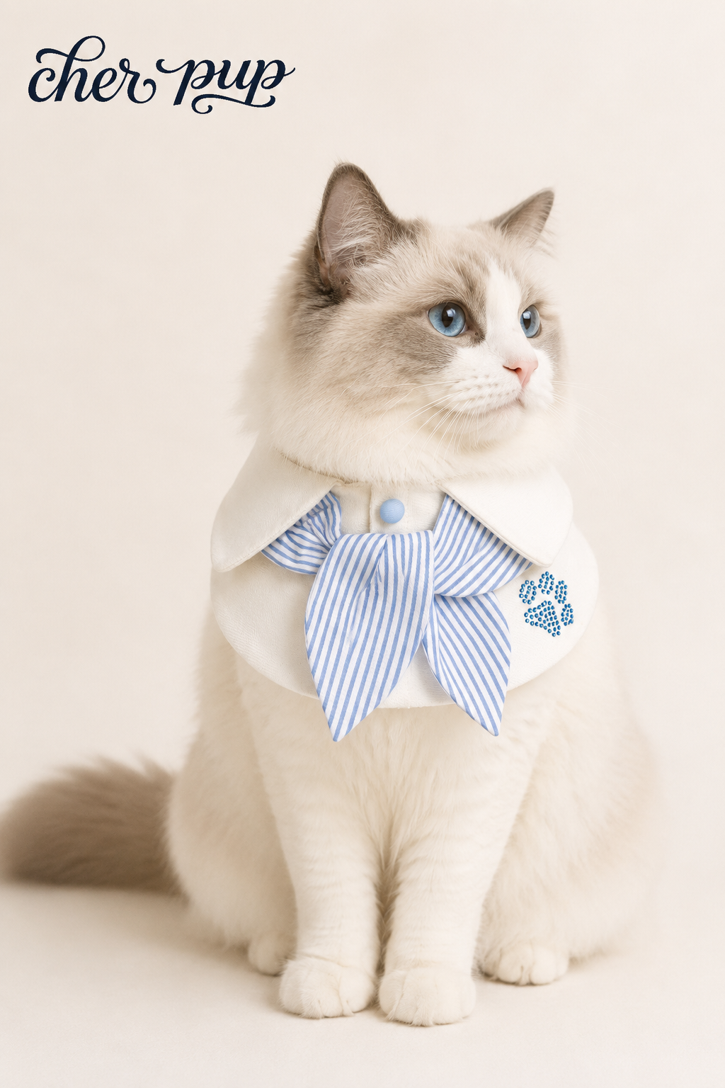 Campus Crush Collar Set blue crystal paw close-up
