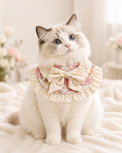 The Kitty Amour Collar on white cat