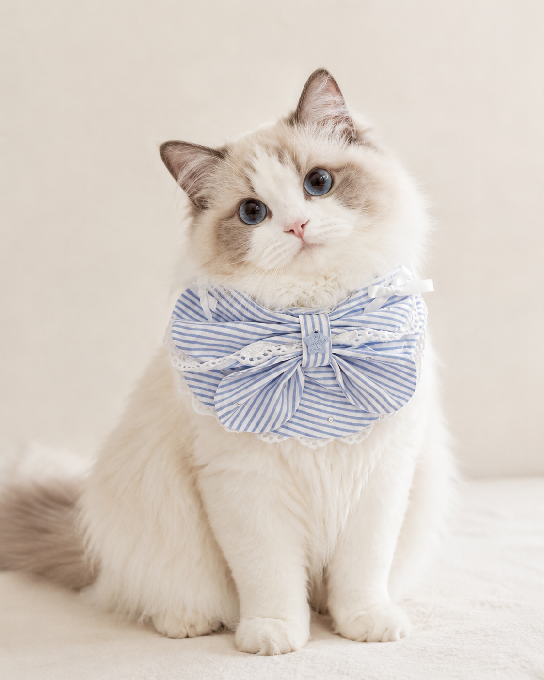 Riviera Stripe Bow Collar on cat close-up