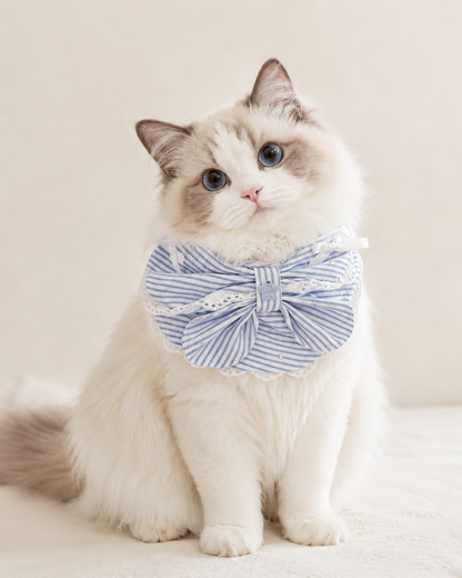 Riviera Stripe Bow Collar on cat close-up