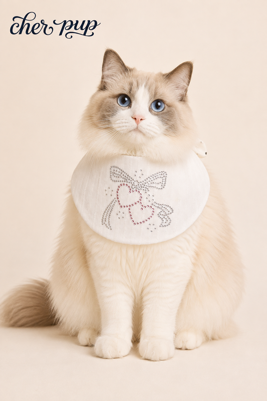 Amour Bow Collar fabric detail