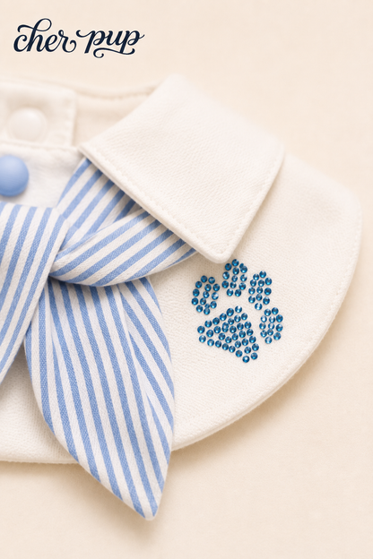 Campus Crush Collar Set on Ragdoll cat - pink edition