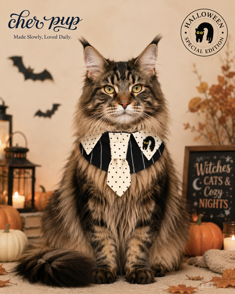 Midnight Whiskers Collar - black pinstripe fabric detail